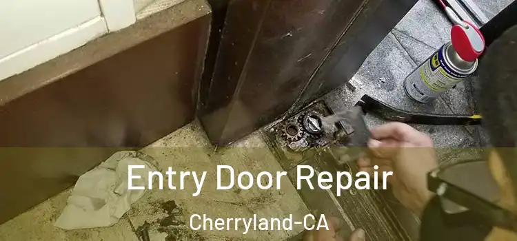  Entry Door Repair Cherryland-CA