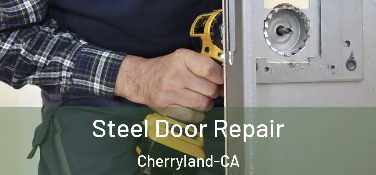  Steel Door Repair Cherryland-CA