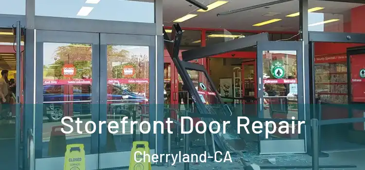  Storefront Door Repair Cherryland-CA